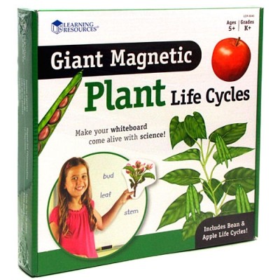 LEARNING RESOURCES Giant Magnetic Plant Life Cycles