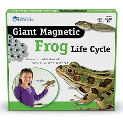 LEARNING RESOURCES Giant Magnetic Frog Life Cycle